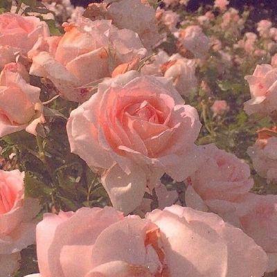 Whispers of Dawn Pastel Posy